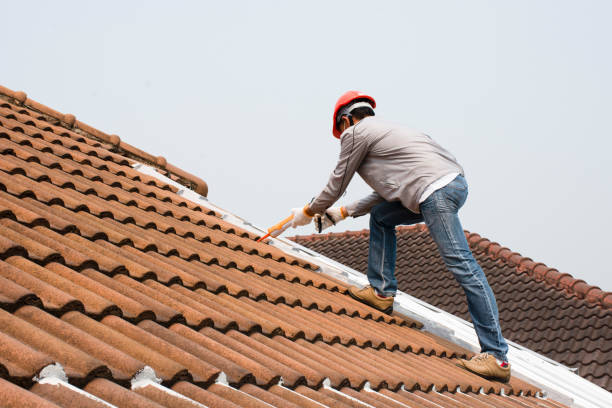 Sheet Metal Roofing in Catalina, AZ