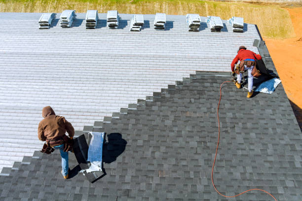 Best Storm Damage Roof Repair  in Catalina, AZ
